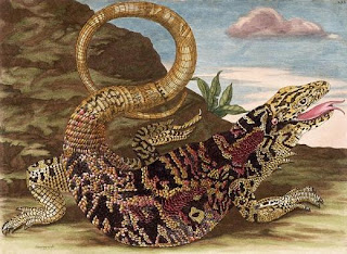 Maria Sibylla Merian