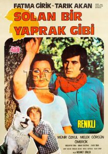 solan_bir_yaprak_gibi_1971-211x300-1
